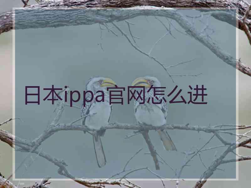 日本ippa官网怎么进