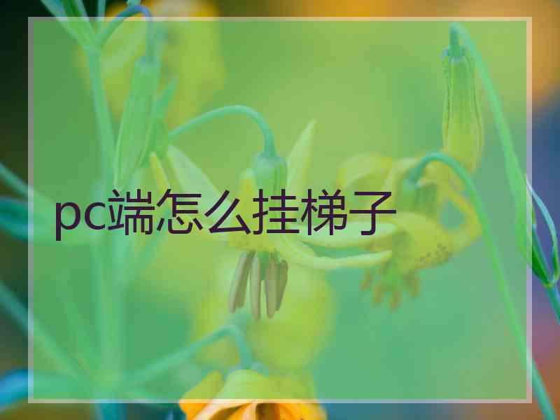 pc端怎么挂梯子