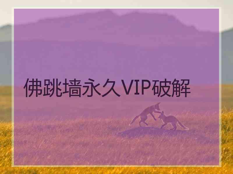 佛跳墙永久VIP破解