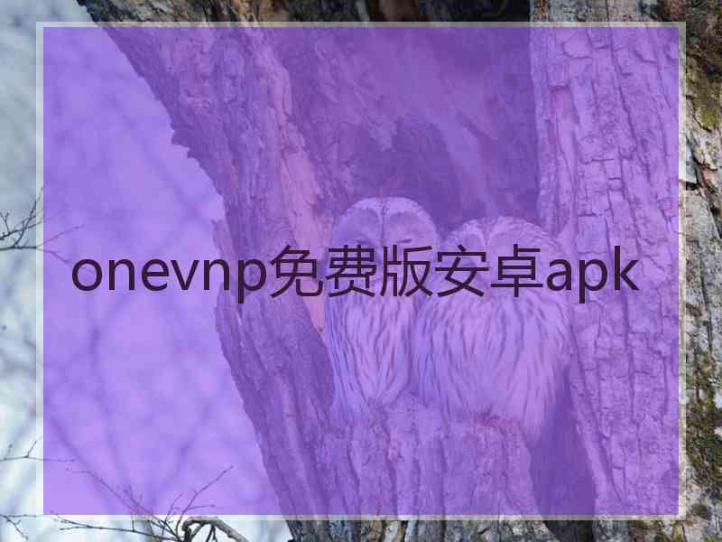 onevnp免费版安卓apk