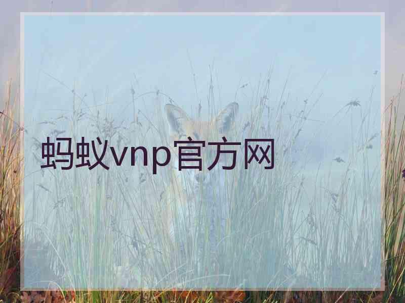 蚂蚁vnp官方网