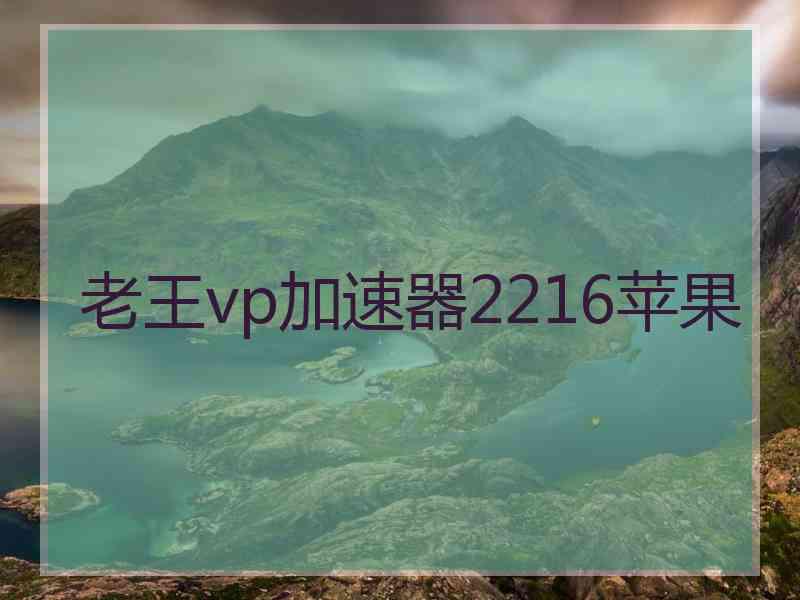 老王vp加速器2216苹果