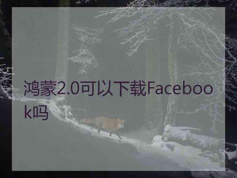 鸿蒙2.0可以下载Facebook吗