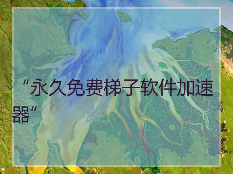 “永久免费梯子软件加速器”