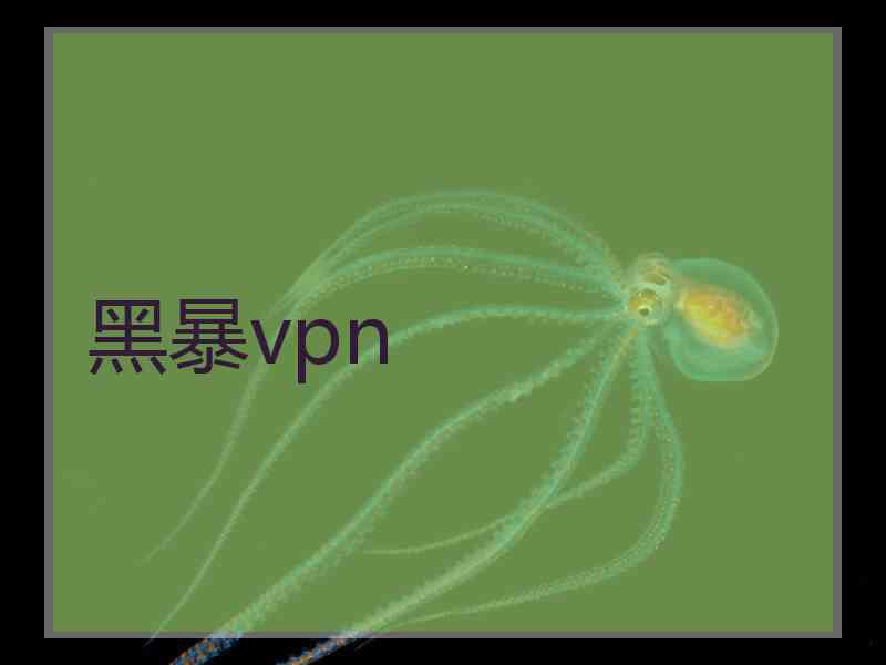 黑暴vpn