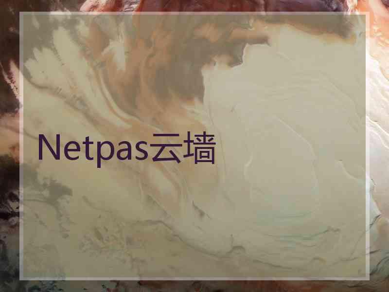 Netpas云墙