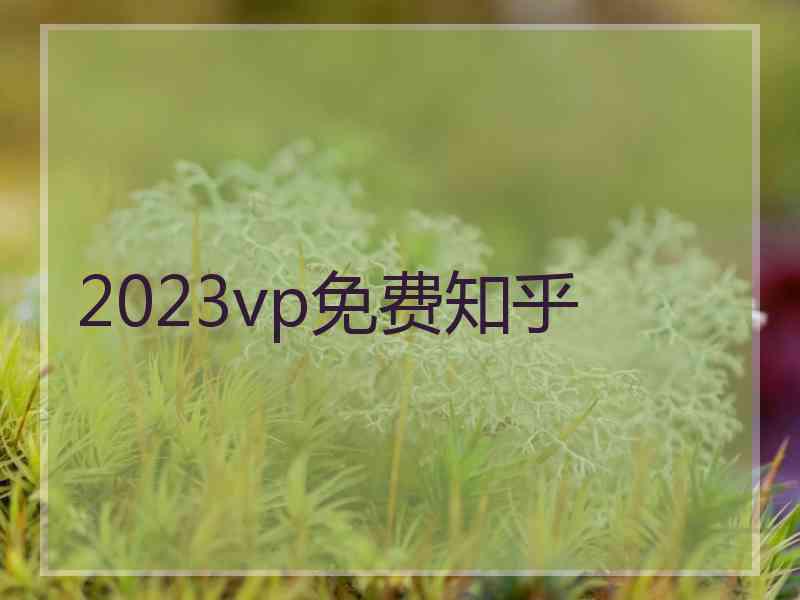 2023vp免费知乎