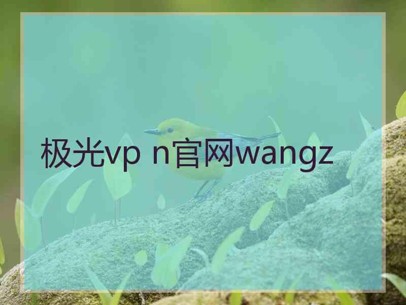 极光vp n官网wangz