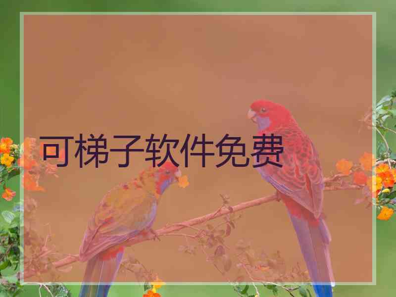 可梯子软件免费