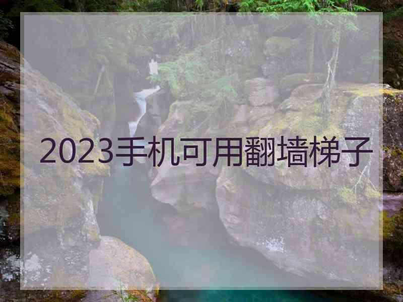 2023手机可用翻墙梯子