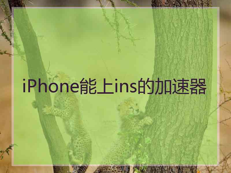 iPhone能上ins的加速器