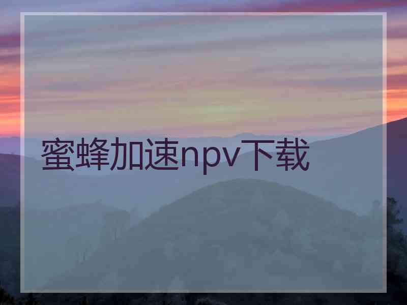 蜜蜂加速npv下载