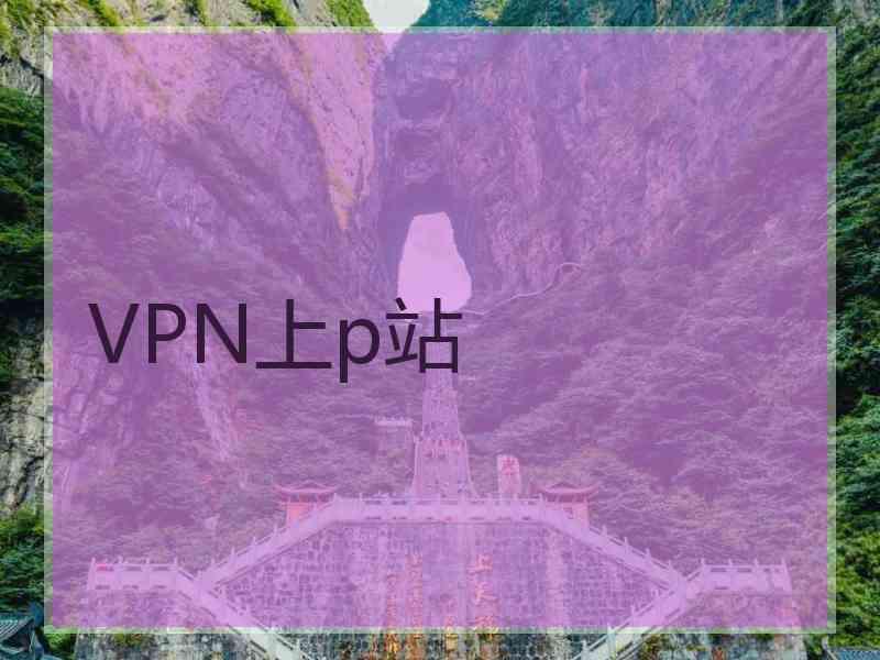 VPN上p站