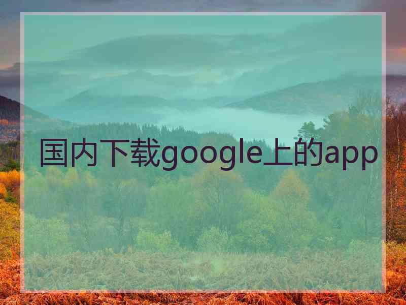 国内下载google上的app