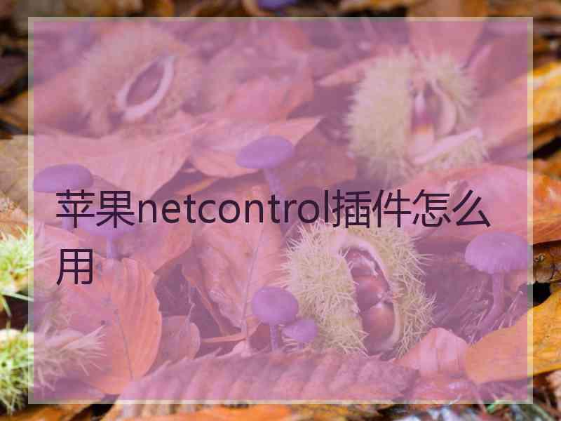 苹果netcontrol插件怎么用