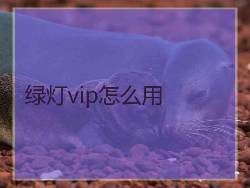 绿灯vip怎么用