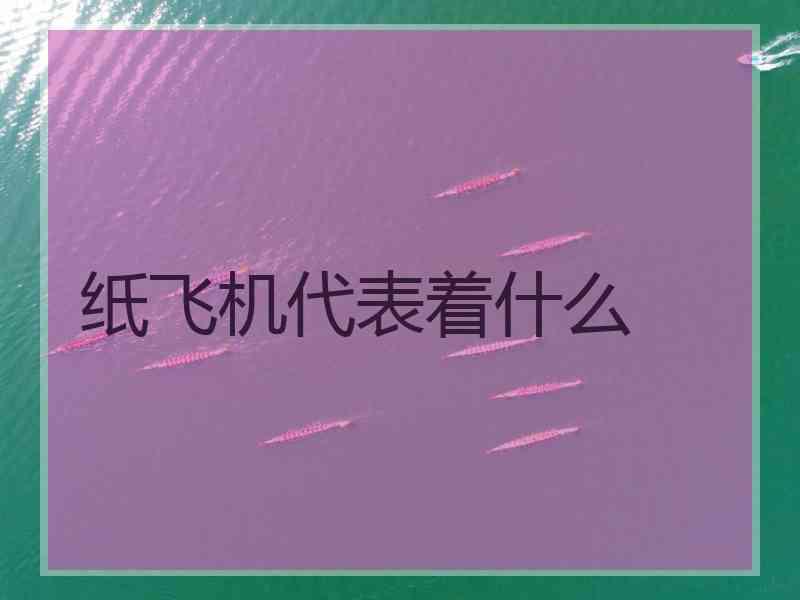 纸飞机代表着什么