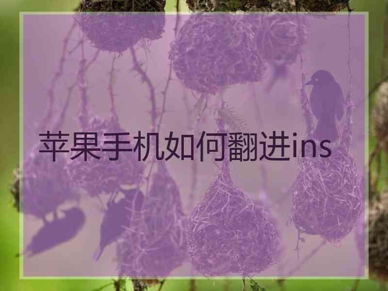 苹果手机如何翻进ins