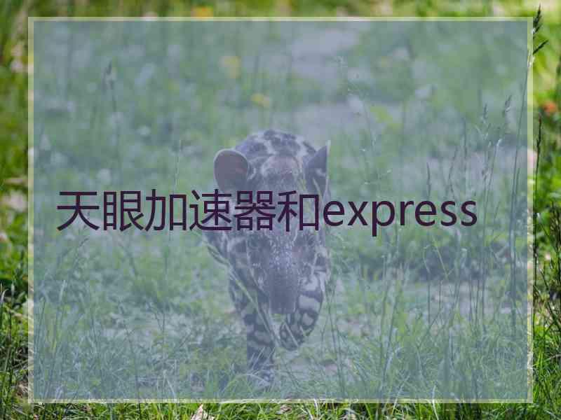 天眼加速器和express