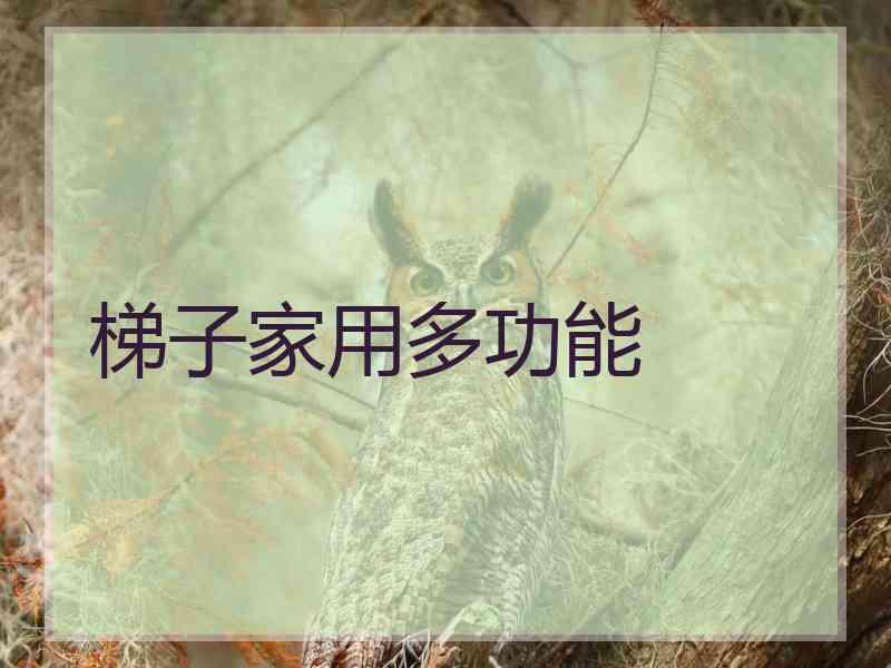 梯子家用多功能