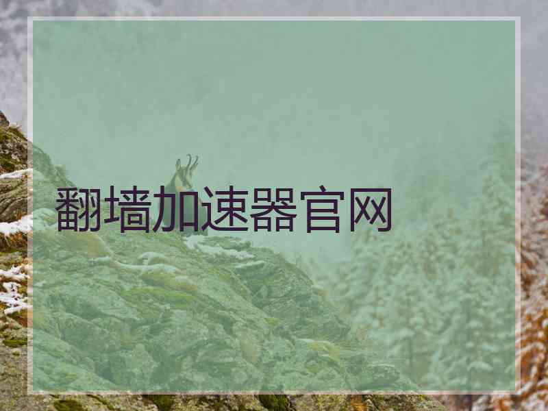 翻墙加速器官网