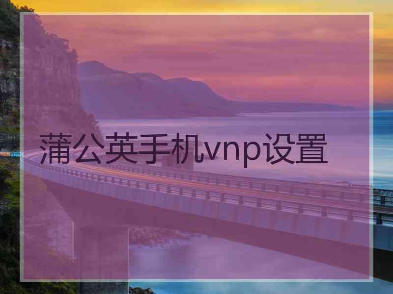 蒲公英手机vnp设置