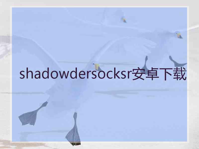 shadowdersocksr安卓下载