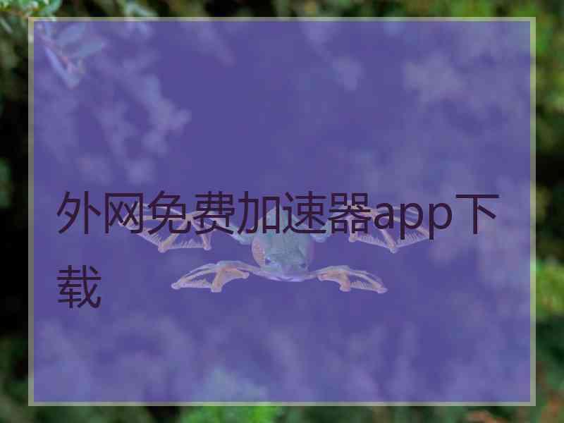 外网免费加速器app下载