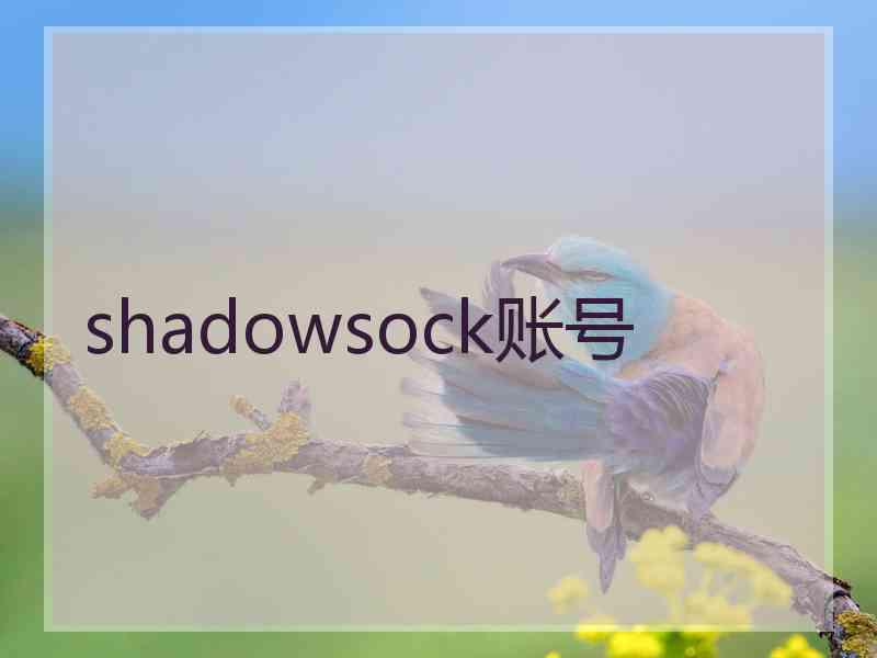 shadowsock账号