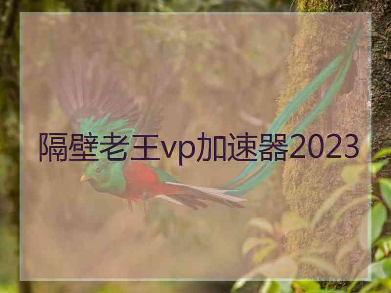 隔壁老王vp加速器2023