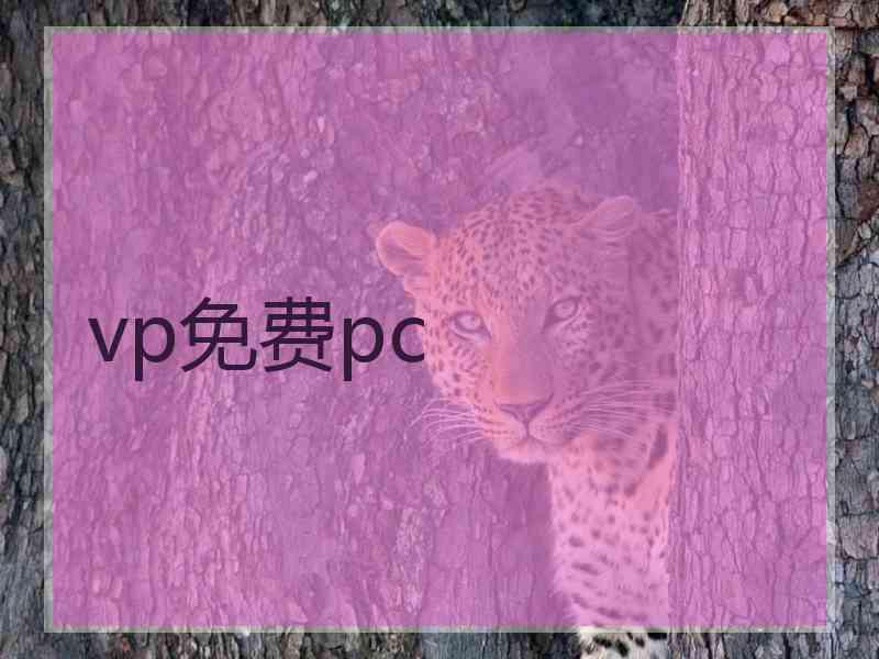 vp免费pc