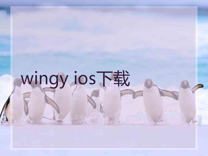 wingy ios下载