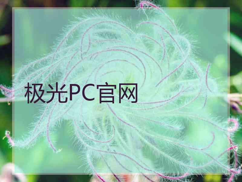 极光PC官网