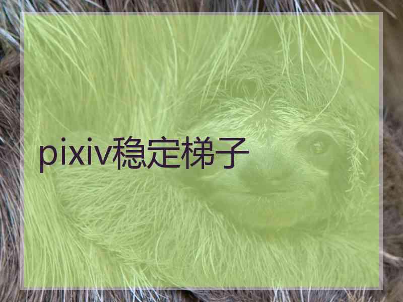 pixiv稳定梯子