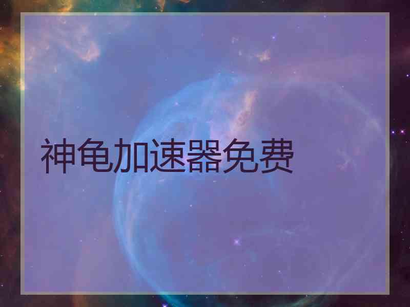 神龟加速器免费