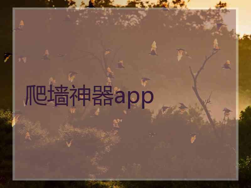 爬墙神器app