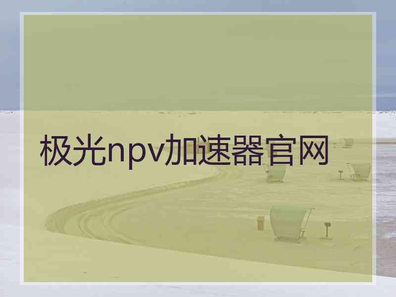 极光npv加速器官网