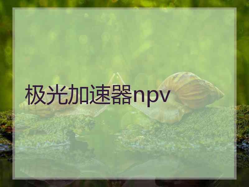 极光加速器npv