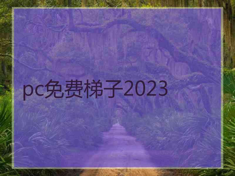 pc免费梯子2023