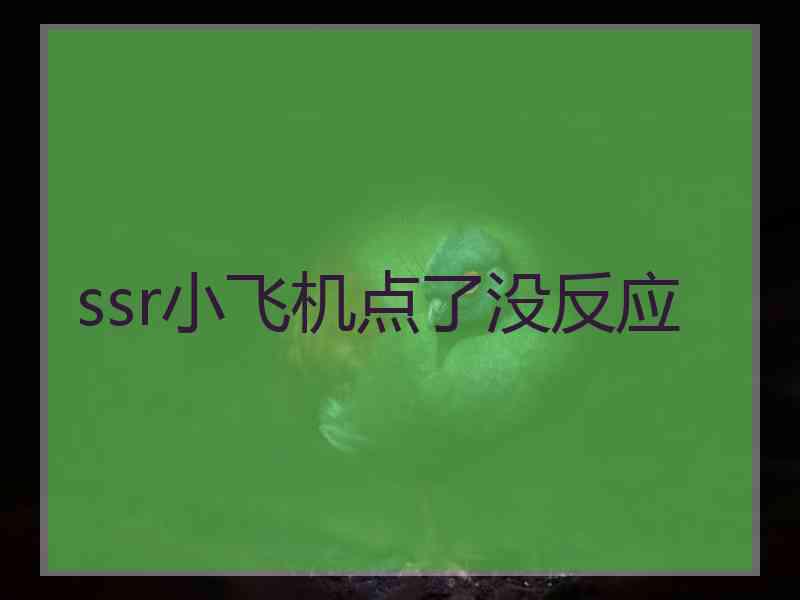 ssr小飞机点了没反应