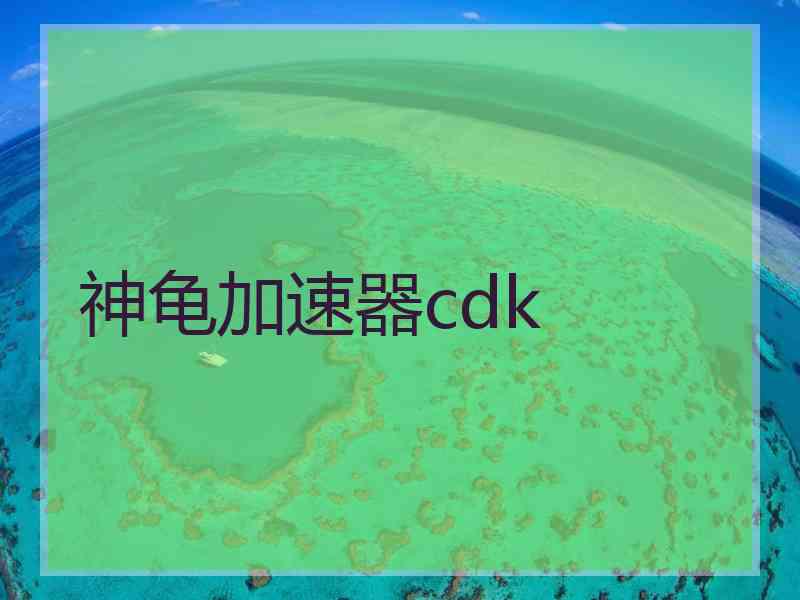 神龟加速器cdk