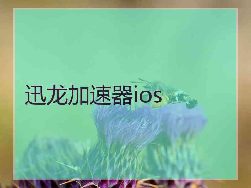 迅龙加速器ios