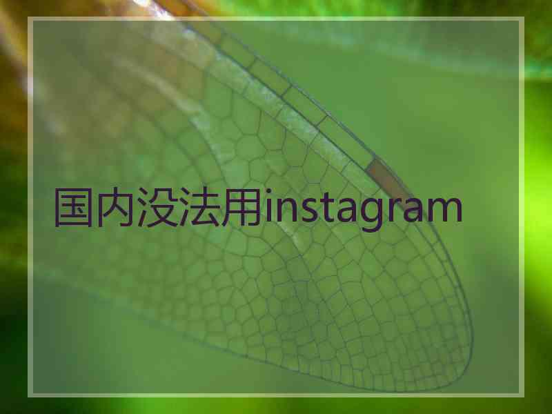 国内没法用instagram