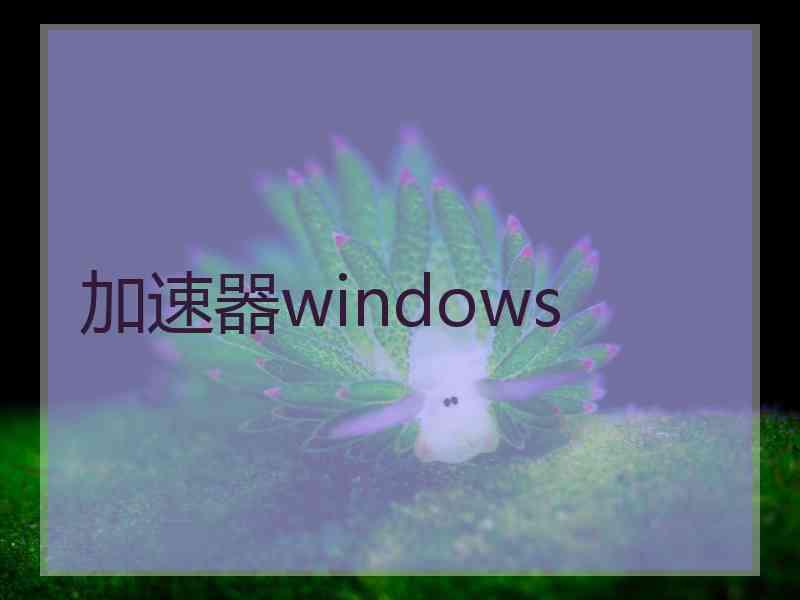 加速器windows