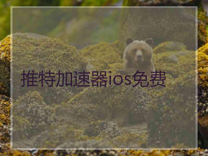 推特加速器ios免费