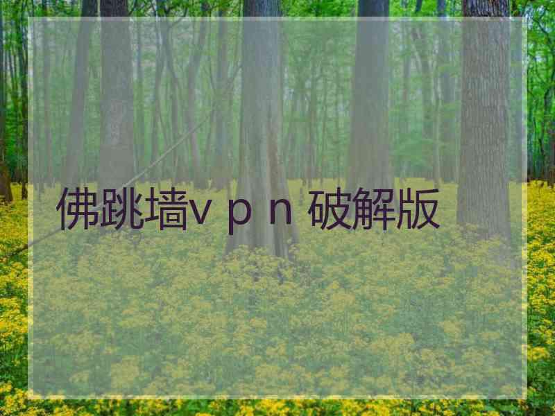 佛跳墙v p n 破解版