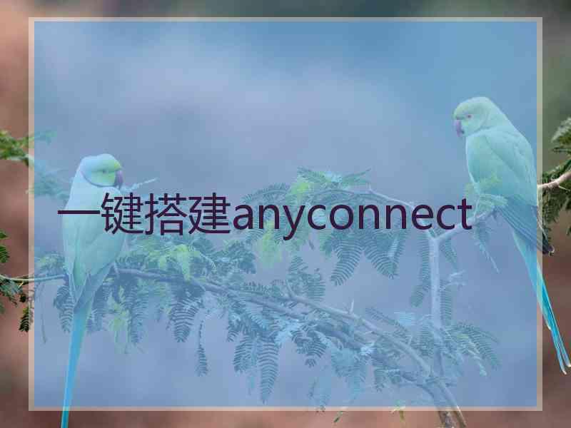 一键搭建anyconnect