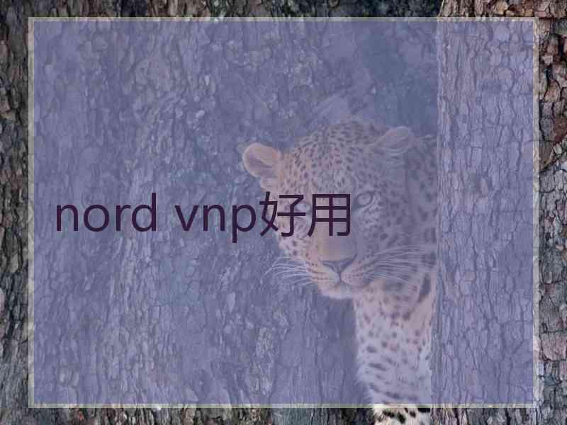 nord vnp好用