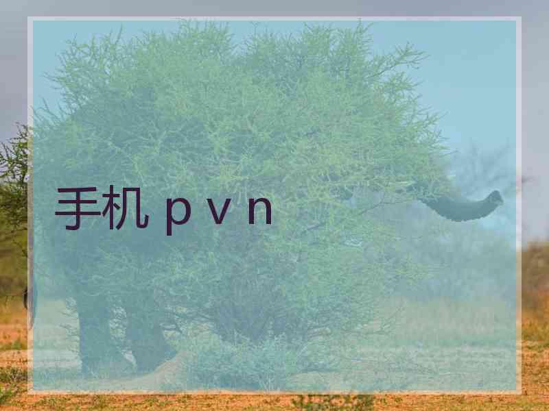 手机 p v n