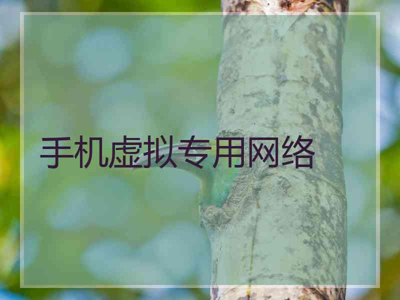 手机虚拟专用网络